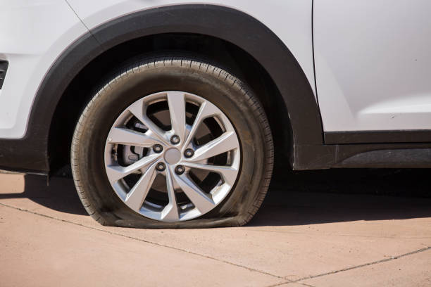 Straight on view of a flat tire.